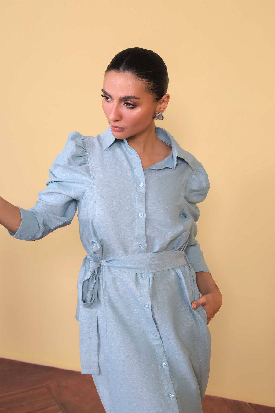 Skyline Belted Shirt Dress