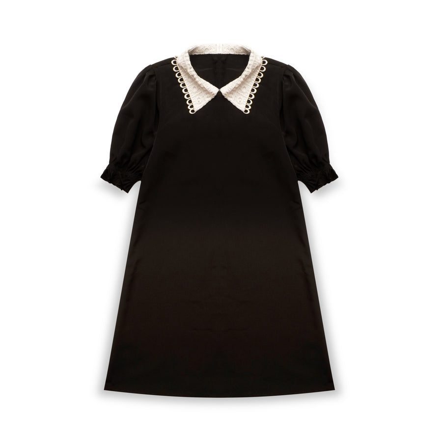 Midnight Lace Collar Dress