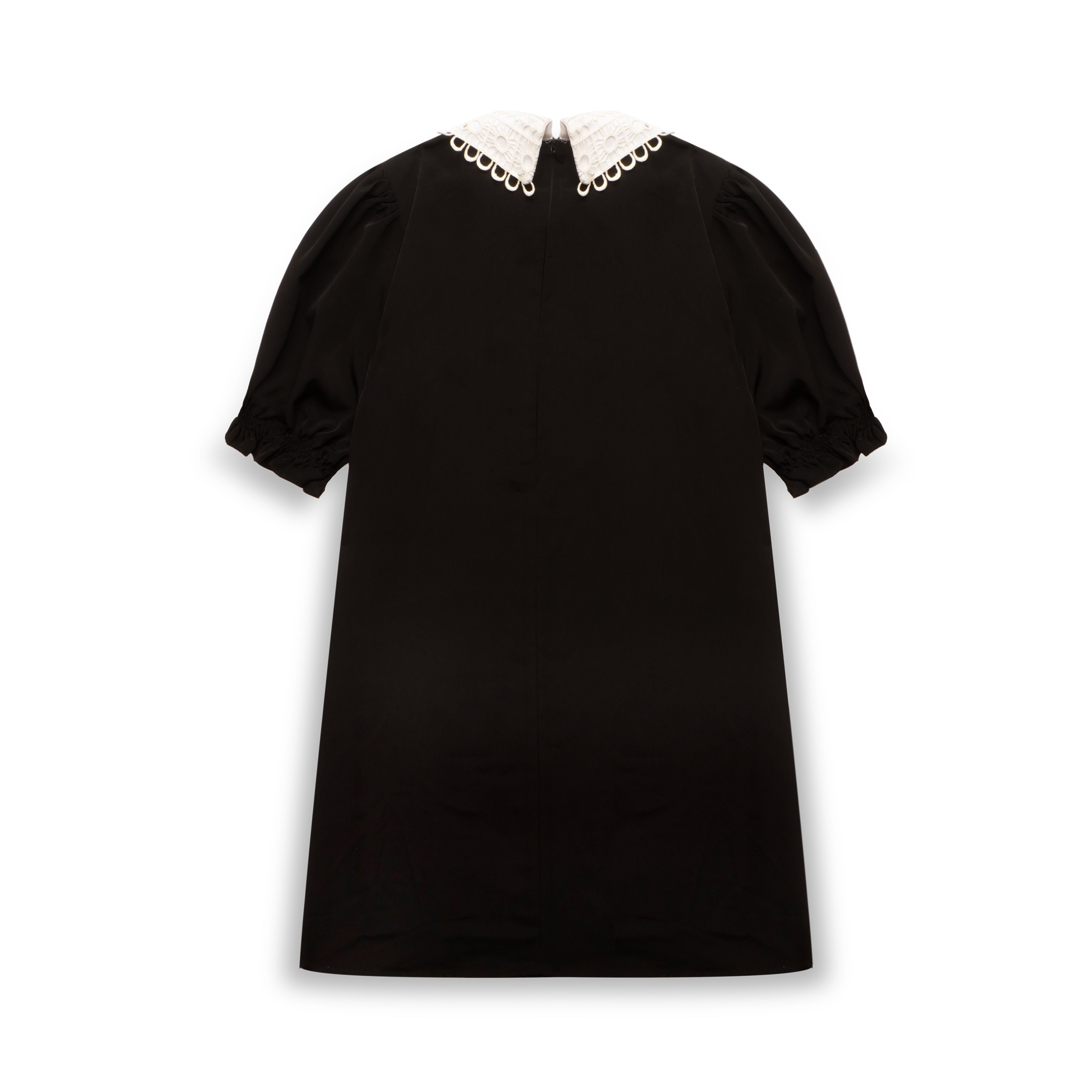 Midnight Lace Collar Dress