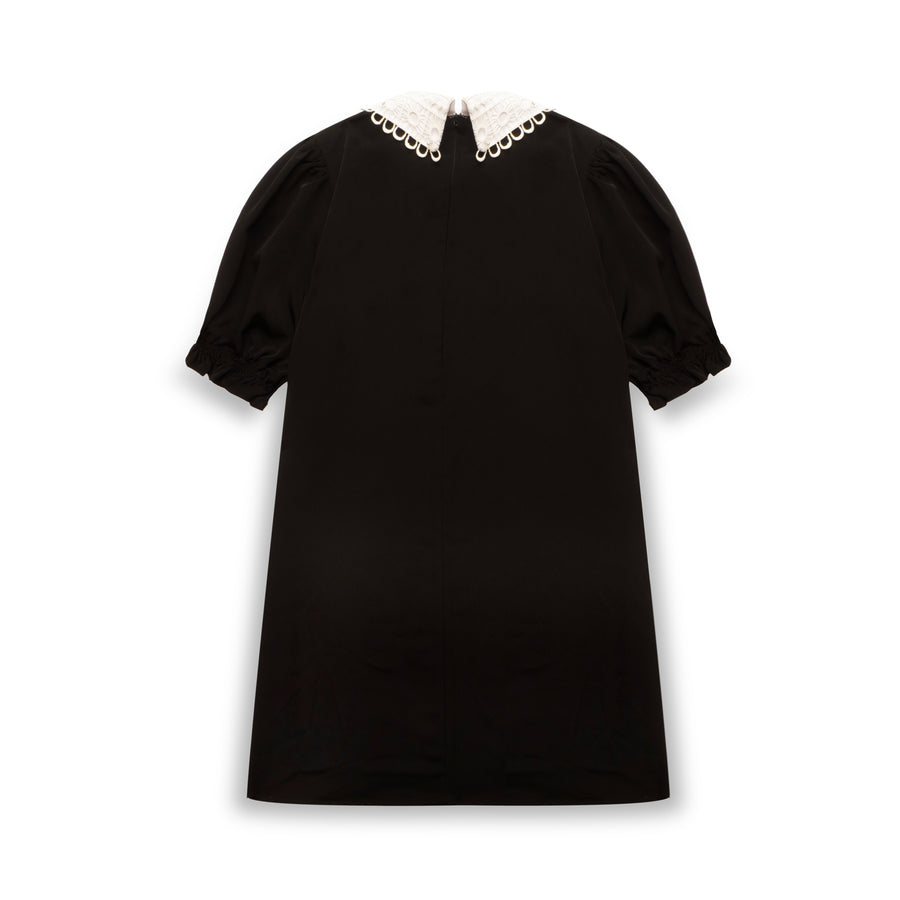 Midnight Lace Collar Dress